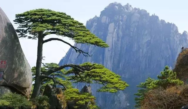 黄山岩寺的最新房价-黄山岩寺近期房产价格揭秘