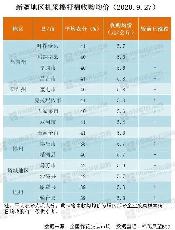 新鲜生姜价格喜讯：市场行情一路飘红