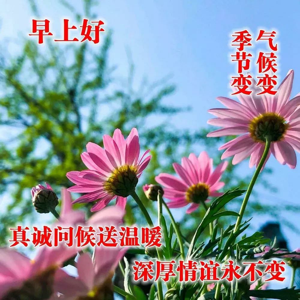 每日清晨温馨祝福语新鲜出炉