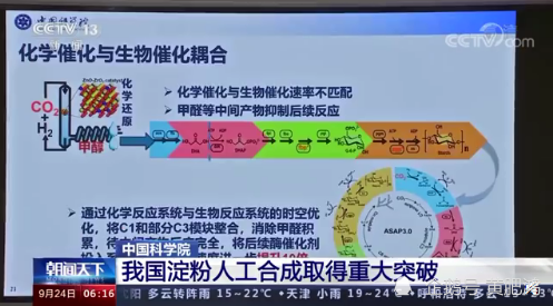 最新突破：揭秘美国在疱疹领域的尖端研究成果