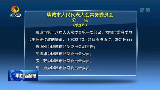 应城市官方最新人事调整与任命公告