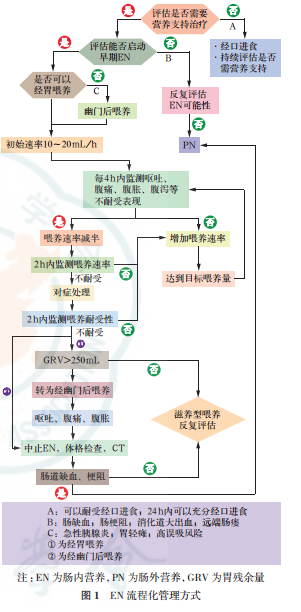 全新升级版：权威发布——肠内营养治疗最新实践指南